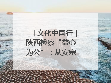 文化中国行｜陕西检察“益心为公”：从安塞腰鼓到洋县黄酒的非遗守护
