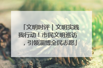 文明时评｜文明实践我行动！市民文明巡访，引领淄博全民志愿