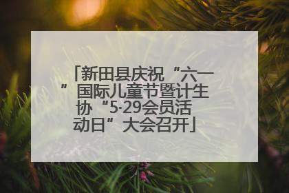 新田县庆祝“六一”国际儿童节暨计生协“5·29会员活动日”大会召开