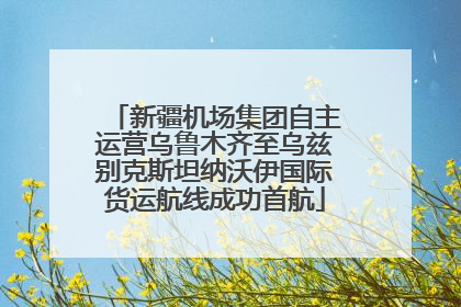 新疆机场集团自主运营乌鲁木齐至乌兹别克斯坦纳沃伊国际货运航线成功首航