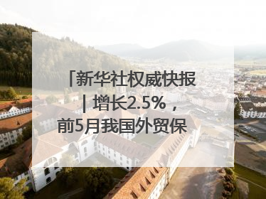 新华社权威快报｜增长2.5%，前5月我国外贸保持较强韧性