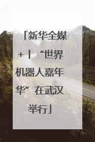新华全媒+丨“世界机器人嘉年华”在武汉举行