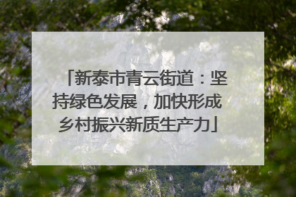 新泰市青云街道：坚持绿色发展，加快形成乡村振兴新质生产力