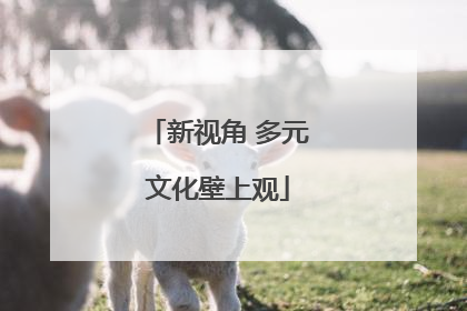 新视角 多元文化壁上观