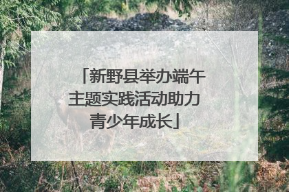 新野县举办端午主题实践活动助力青少年成长