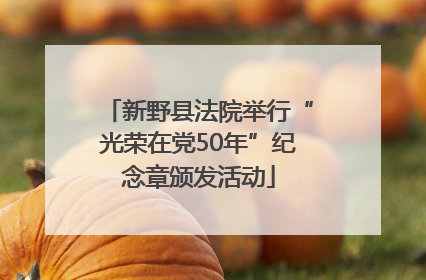 新野县法院举行“光荣在党50年”纪念章颁发活动