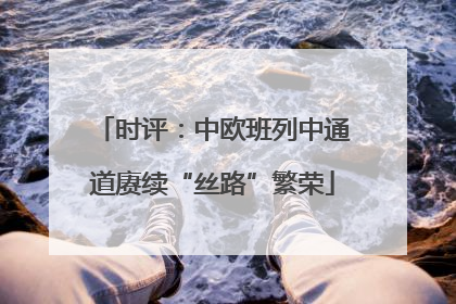 时评：中欧班列中通道赓续“丝路”繁荣