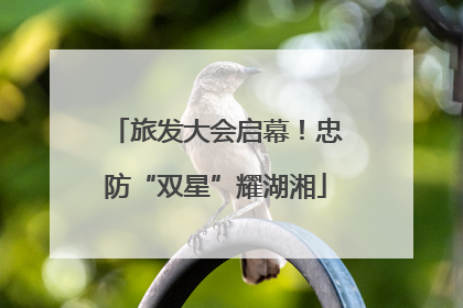 旅发大会启幕！忠防“双星”耀湖湘