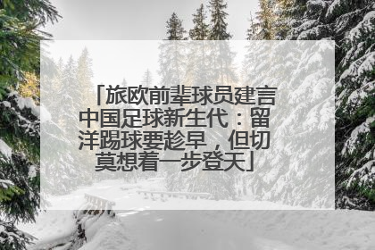 旅欧前辈球员建言中国足球新生代：留洋踢球要趁早，但切莫想着一步登天