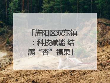 旌阳区双东镇：科技赋能 结满“杏”福果