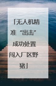 无人机精准“出击” 成功处置闯入厂区野猪