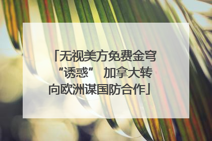 无视美方免费金穹“诱惑” 加拿大转向欧洲谋国防合作