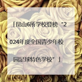 昆山6所学校登榜“2024年度全国青少年校园足球特色学校”