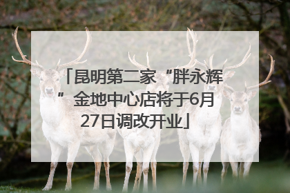 昆明第二家“胖永辉”金地中心店将于6月27日调改开业