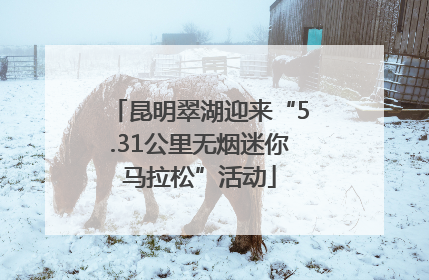 昆明翠湖迎来“5.31公里无烟迷你马拉松”活动