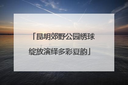 昆明郊野公园绣球绽放演绎多彩夏韵