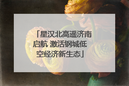 星汉北高遥济南启航 激活钢城低空经济新生态