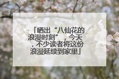 晒出“八仙花的浪漫时刻”，今天，不少读者将这份浪漫延续到家里