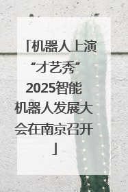 机器人上演“才艺秀” 2025智能机器人发展大会在南京召开