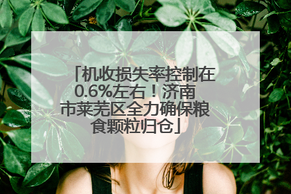 机收损失率控制在0.6%左右！济南市莱芜区全力确保粮食颗粒归仓