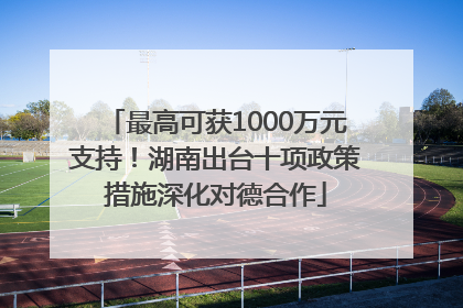 最高可获1000万元支持！湖南出台十项政策措施深化对德合作