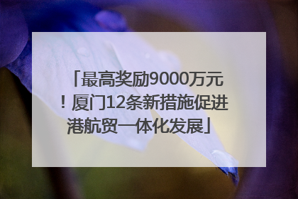 最高奖励9000万元！厦门12条新措施促进港航贸一体化发展