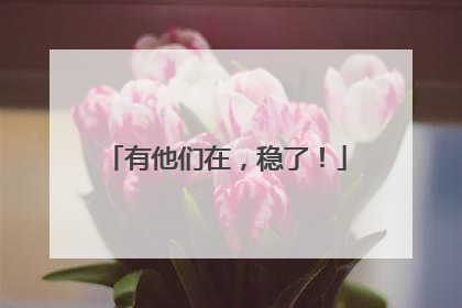 有他们在，稳了！