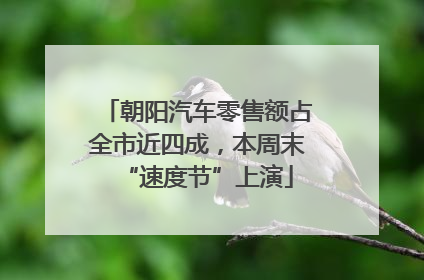 朝阳汽车零售额占全市近四成，本周末“速度节”上演