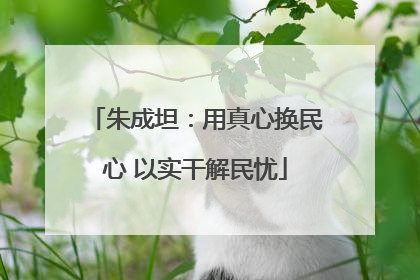 朱成坦：用真心换民心 以实干解民忧