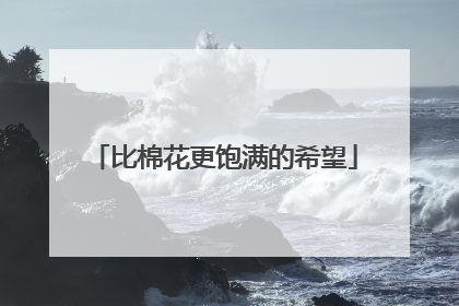 比棉花更饱满的希望