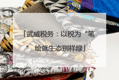 武威税务：以税为“笔” 绘就生态别样绿