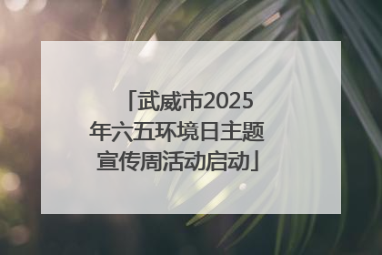 武威市2025年六五环境日主题宣传周活动启动