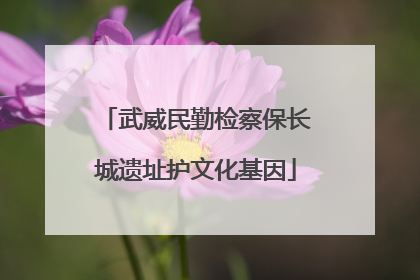 武威民勤检察保长城遗址护文化基因