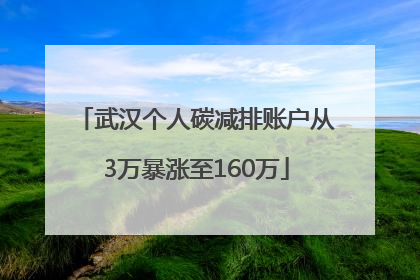 武汉个人碳减排账户从3万暴涨至160万