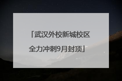 武汉外校新城校区全力冲刺9月封顶