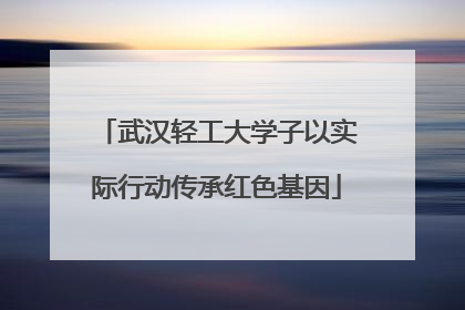 武汉轻工大学子以实际行动传承红色基因