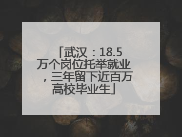 武汉：18.5万个岗位托举就业，三年留下近百万高校毕业生