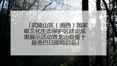 武陵山区（湘西）国家级文化生态保护区建设成果展示活动暨龙山县第十届舍巴日即将启幕