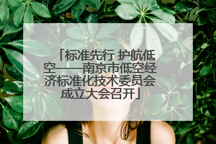 标准先行 护航低空——南京市低空经济标准化技术委员会成立大会召开