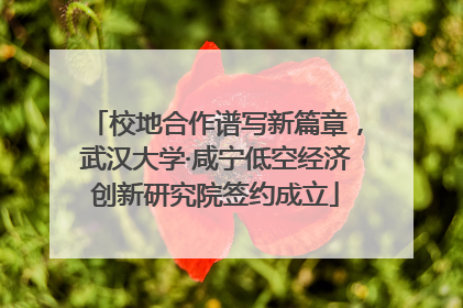 校地合作谱写新篇章，武汉大学·咸宁低空经济创新研究院签约成立