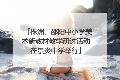 株洲、邵阳中小学美术新教材教学研讨活动在景炎中学举行