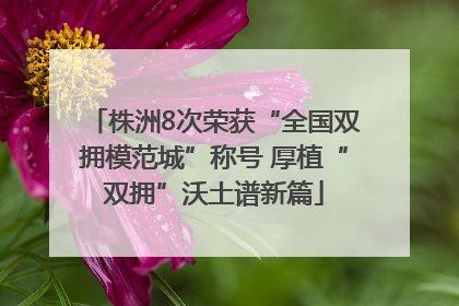 株洲8次荣获“全国双拥模范城”称号 厚植“双拥”沃土谱新篇