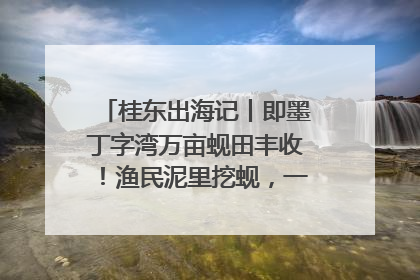 桂东出海记丨即墨丁字湾万亩蚬田丰收！渔民泥里挖蚬，一天上岸过千斤