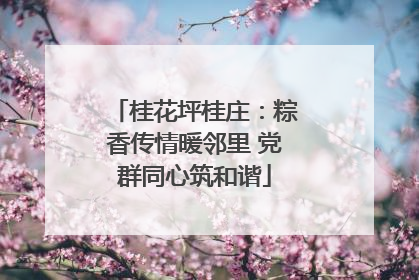 桂花坪桂庄：粽香传情暖邻里 党群同心筑和谐