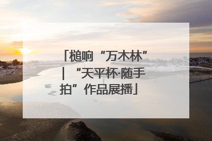 槌响“万木林”｜“天平杯·随手拍”作品展播