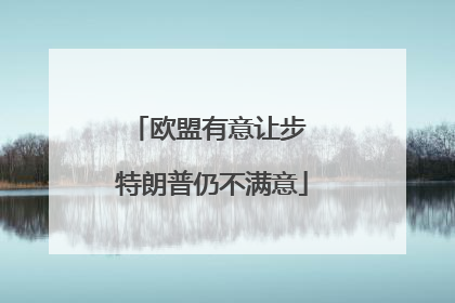 欧盟有意让步 特朗普仍不满意