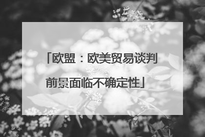 欧盟：欧美贸易谈判前景面临不确定性