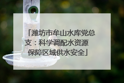 潍坊市牟山水库党总支：科学调配水资源 保障区域供水安全