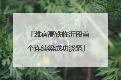 潍宿高铁临沂段首个连续梁成功浇筑
