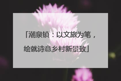 潮泉镇：以文旅为笔，绘就诗意乡村新景致